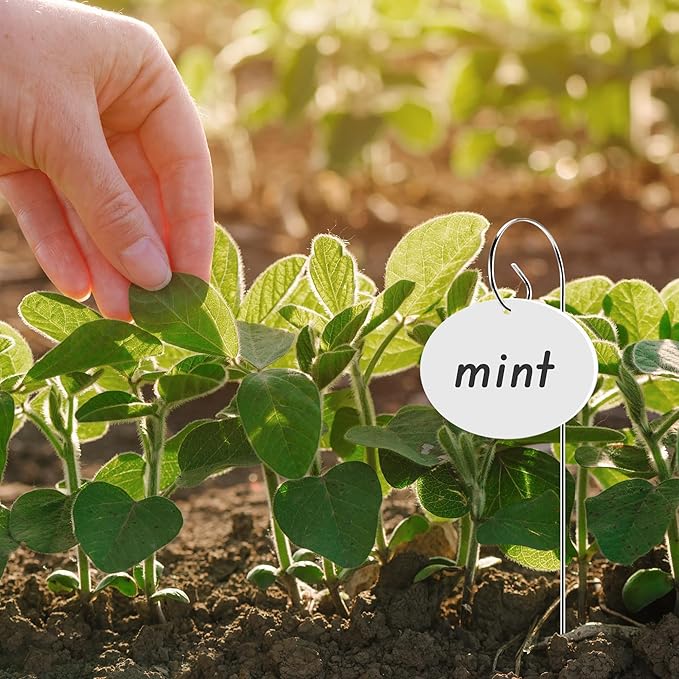 25 Pcs Plant Labels, Acrylic Plant Tags for Outdoor Garden Waterproof, Plant Labels with Stainless Steel Stake and Pen, Garden Labels for Seed, Potted Plant, Flower