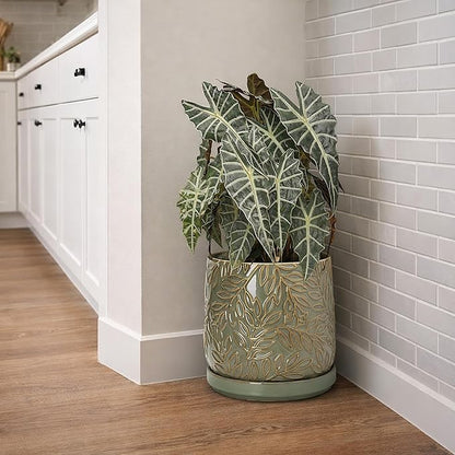 D'vine Dev 10 Inch Embossed Leaves Stoneware Planter Pot with Drainage Hole and Saucer, Olive, 27-A-P-0