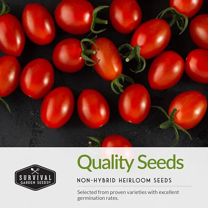 5 Variety Salsa Garden Seed Kit – Seeds for Planting Tomato, Tomatillo, Onion, Jalapeño & Cilantro | Non-GMO Heirloom Collection by Survival Garden Seeds