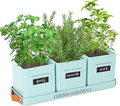 PERFNIQUE Indoor Herb Garden, Herb Planter Set with Tray, Farmhouse Indoor Plant Pots, Windowsill Herb Garden with Drainage(Planter only) for Indoor/Outdoor, Window Pots (Mint)