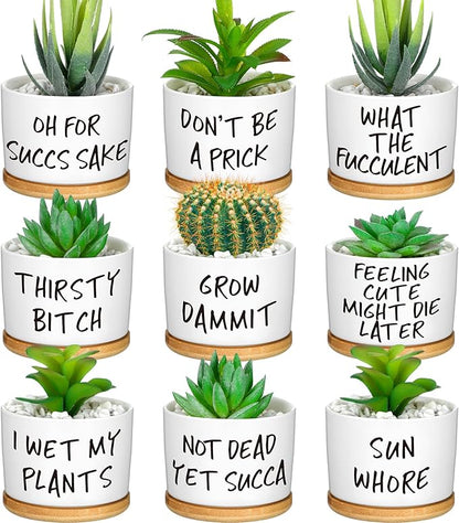 Domensi 9 Pcs Funny Succulent Pots Cute Aloe Cactus Planter with Bamboo Tray Ceramic Accessories White Mini Flower Drainage Tray Pots Indoor Outdoor Plants Birthday Gifts Housewarming Women Coworker
