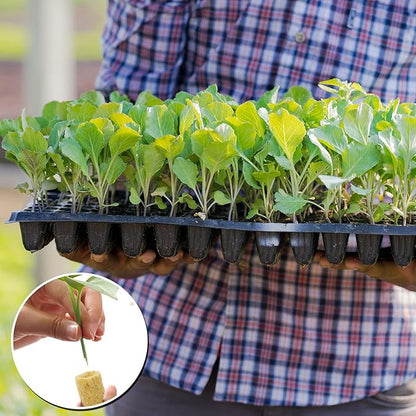 YBB 50 Pcs Round Rockwool Starter Plugs, 0.7 x 1 Inch Rockwool Grow Plugs Hydroponics Grow Media Seed Starter Kit Indoor with 60 Pcs Labels