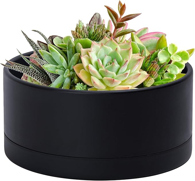 D'vine Dev 10 Inch Plastic Shallow Planter, Large Round Succulent Plant Pot with Drainage Hole and Sauce, Decorative Bonsai Pot for Indoor Plants, Black, 76-Z-B-2