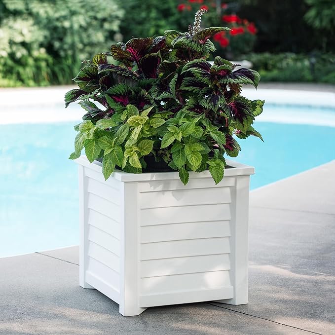 Mayne Lakeland 20-Inch Square Planter – Self-Watering, Weather-Resistant Planter for Flowers – Durable Outdoor Design for Patio, Porch, or Entryway