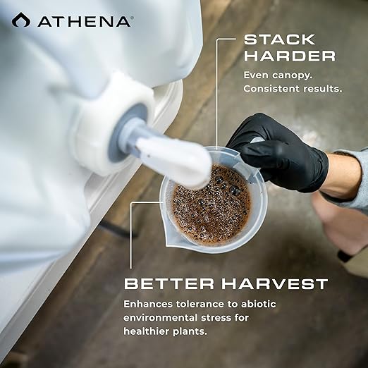 Athena Stack Bloom Booster Fertilizer - Liquid Kelp Fertilizer for Plant Growth, Transition & Flowering | Kelp Foliar Spray or Root Drench – 32 oz | 0-0-1