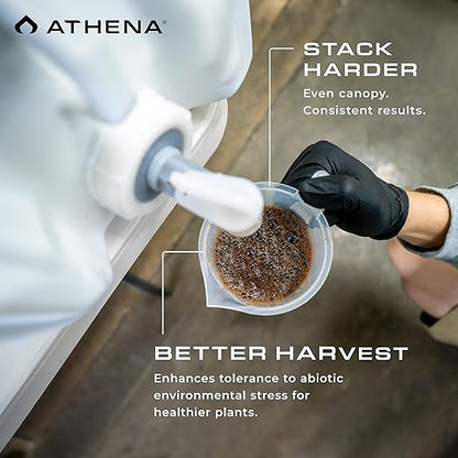 Athena Stack Bloom Booster Fertilizer - Liquid Kelp Fertilizer for Plant Growth, Transition & Flowering | Kelp Foliar Spray or Root Drench – 32 oz | 0-0-1