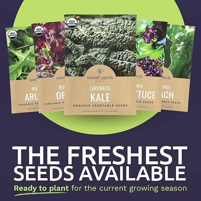 Organic Healthy Greens Seeds Variety Pack - 12 Individual Packs - 2026 Season - Arugula, Kale, Swiss Chard, Spinach, Mustard & More! for Indoor & Outdoor Planting (Non-GMO, Certified Organic)