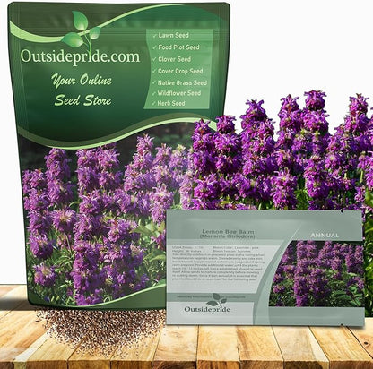 Outsidepride Lemon Bee Balm Seeds - 1 lb. Annual, Easy to Grow & Pollinator Friendly Monarda Citriodora Flower Seeds for Planting Fragrant Lavender Pink Blooms, Ideal for Teas & Potpourri