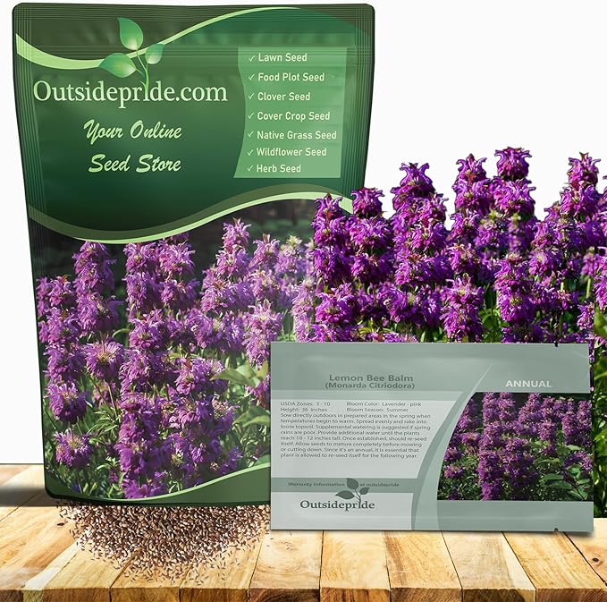 Outsidepride Lemon Bee Balm Seeds - 1/4 lb. Annual, Easy to Grow & Pollinator Friendly Monarda Citriodora Flower Seeds for Planting Fragrant Lavender Pink Blooms, Ideal for Teas & Potpourri