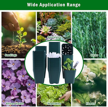 June Fox Small Seedling Pots 4 Inch, 100 Pcs Square Plant Pots Bulk, Plastic Nursery Pots with Drain Holes for Seedlings, Succulents, Cuttings (Green)