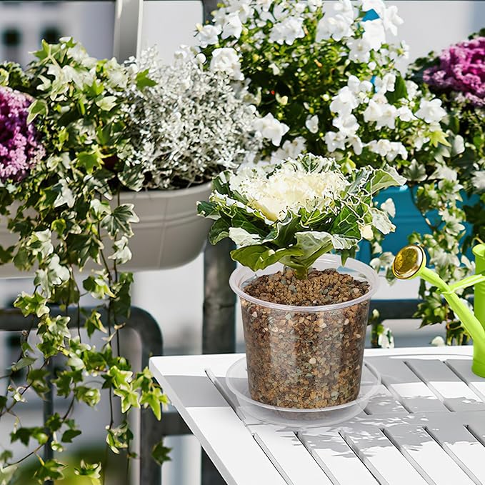 20 Pack 7 Inch Clear Nursery Pots with Drainage and Saucer, Clear Plastic Planter Pots for Plants, Flexible Seed Starting Pots for Succulents, Small Herbs, Annual Flowers (7 Inch)