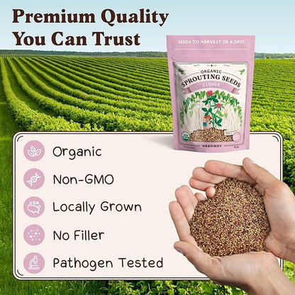 Seedboy Organic Non-GMO Clover Seeds for Sprouting - USA Grown Microgreens Sprouting Seeds - 8 oz Bag Makes 8 Quarts / 24 Servings (Red Clover)