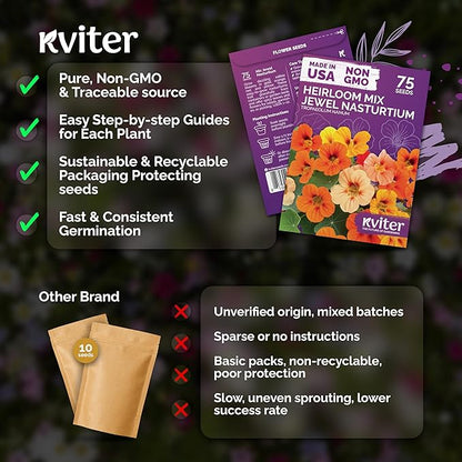 KVITER 75 Mix Jewel Nasturtium Seeds for Planting Outdoors (Tropaeolum Nanum) — Heirloom & Organic Seed Packet — Edible Flower Seeds to Plant Outside & Inside in Garden, Containers, Hanging Baskets