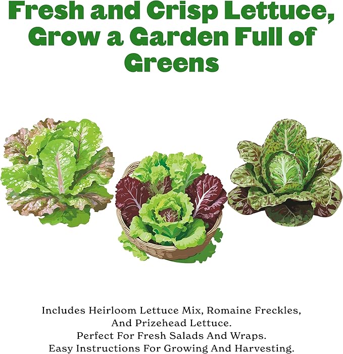 Epic Gardening Lettuce Seed Bundle - 3 Heirloom & Non-GMO Varieties, Includes Freckles Romaine, Heirloom Mix & Prizehead Leaf, Perfect for Fresh Salads, Wraps & Garden-to-Table Meals