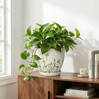 Indoor Plant Pot 8.2 Inch - Ceramic Planter with Drainage Hole and Saucer, Boho Round Decorative Flower Pot for Indoor Outdoor Flowers, Plant Lover Gifts, Office Home Garden Patio Decor, White