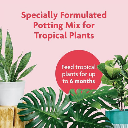 Miracle-Gro Tropical Potting Mix, for Container Plants, Use with Snake Plants, Spider Plants, Pothos, Monstera, 6 qt., 12-Pack