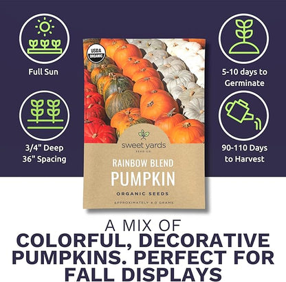 Organic Rainbow Blend Pumpkin Seeds – Two Seed Packets! Over 15 Open Pollinated Non-GMO Seeds – Sweet Yards Seed Co.