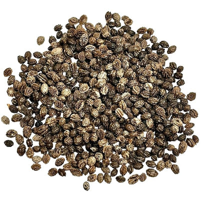 Papaya Seeds, Dried Whole Seeds, 1 oz (28 g), Raw, Natural (1 ounce (28 grams))