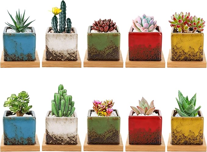 TOPZEA Set of 10 Succulent Planter Pots, 2 Inch Square Ceramic Glazed Cactus Plant Pot Tiny Flower Container with Drainage Hole & Bamboo Tray for Desk, Windowsill, Home Decor, Coffee Bar