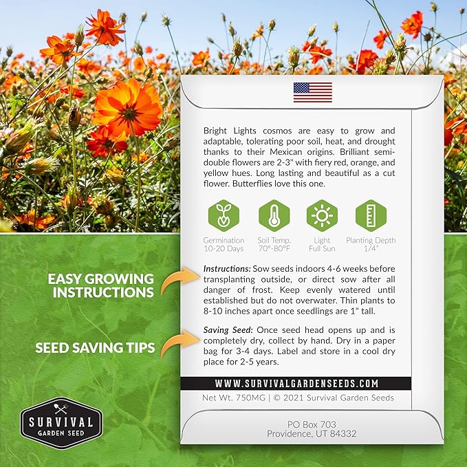 Survival Garden Seeds Bright Lights Cosmos Seed for Planting - 2 Packets with Instructions to Grow Cosmos Sulphureus in Your Home Flower or Vegetable Garden - Non-GMO Heirloom