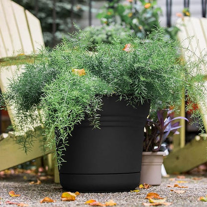 Bloem 010280 Saturn Planter with Saucer, 5", Black (SP0500), 5"
