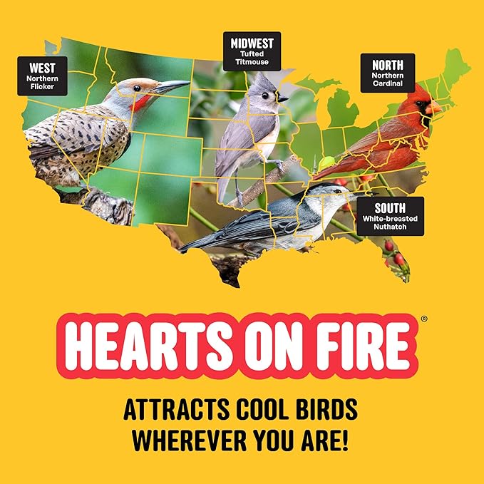 Hearts on Fire Hot Bird Seed – 10 lb. 100% Hulled Sunflower Hearts with Chili Pepper Oil – No Waste Bird Seed for Outside Feeders