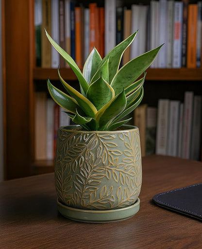 D'vine Dev 6 Inch Embossed Leaves Stoneware Planter Pot with Drainage Hole and Saucer, Olive, 27-A-X-0