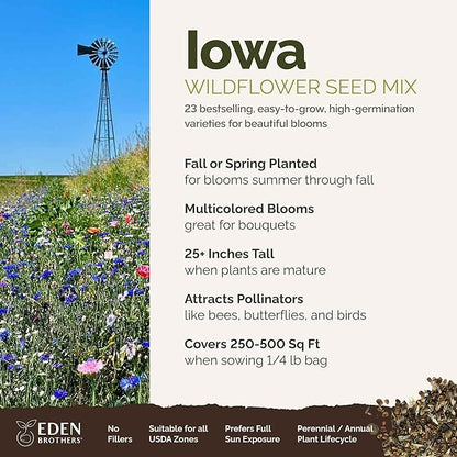 Eden Brothers Iowa Wildflower Mixed Seeds for Planting, 1/4 lb, 120,000+ Seeds with Cornflower, Candytuft | Attracts Pollinators, Plant in Spring or Fall, Zones