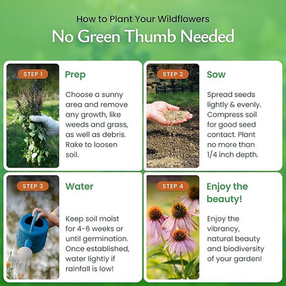 Created By Nature Maryland Wildflower Seed Mix, 15 Flower Varieties, 50,000 Seeds