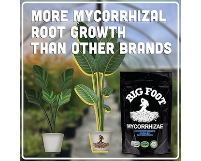 Big Foot Mycorrhizae for Plants, Potted Plants and Gardens - Concentrate Fully Dissolves in Water, Year Round Organic Fertilizer for Root Growth and Healthy Soil - 4 Ounces