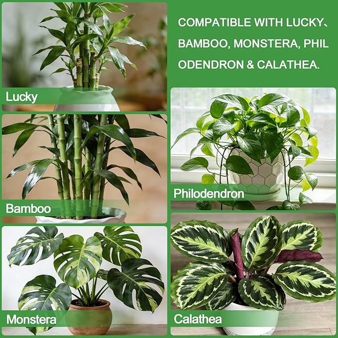 Pure Natural Potting Soil for Lucky Bamboo Plants 4qt- Superior Drainage & Breathability, Ideal Indoor Plant Soil