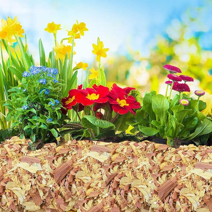 Garden Soils, Mulches and Rocks (Cedar Shavings, 4 Quarts)