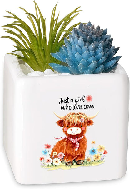 Highland Cow Succulent Planter Flower Plant Pot Small, Gifts for Women Teens Girls Kids, Cow Lovers Themed Stuff Accessories Things Decor Merch, Home Office Table Desk Decoration!
