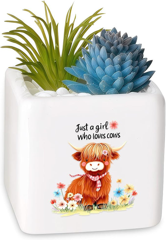 Highland Cow Succulent Planter Flower Plant Pot Small, Gifts for Women Teens Girls Kids, Cow Lovers Themed Stuff Accessories Things Decor Merch, Home Office Table Desk Decoration!