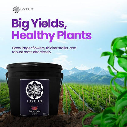 Bloom Pro Series - Hydroponic Plant Nutrients and Fertilizer, Water Soluble Plant Food, for Coco Coir Hydro and Soil, Enhances Flowering and Fruiting, Indoor and Outdoor Grows (256oz)