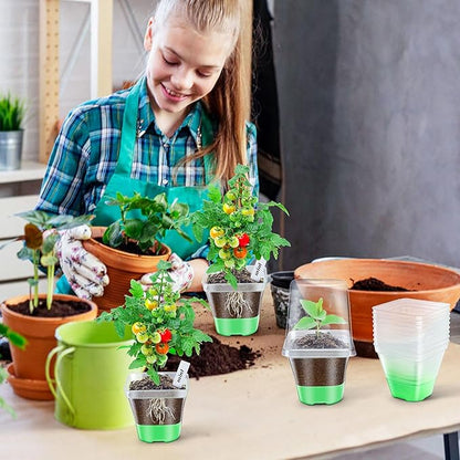 Sckee Clear Nursery Pots for Plants,30 Packs Seed Starting Pots 3.1 inch Plastic Plant Pot Seedling Pots with Drainage Holes Plant Nursery Pots with Silicone Base Seed Starting Pot