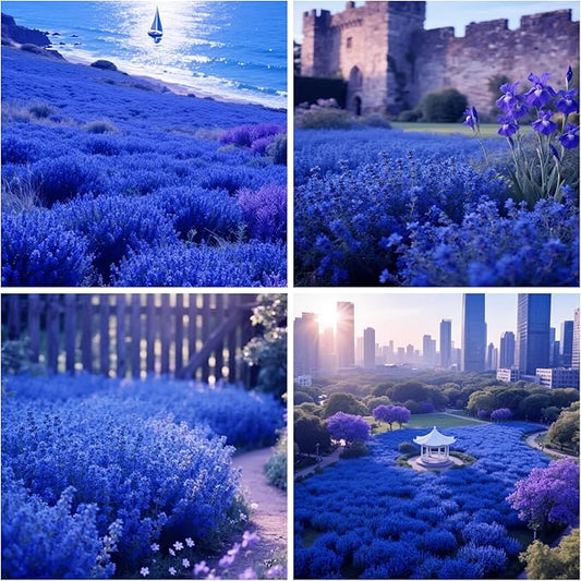 21900+ Creeping Thyme Seeds for Planting Perennial Magic Ground Cover Plant Seeds - Non-GMO Heirloom Serpyllum Thyme Seeds