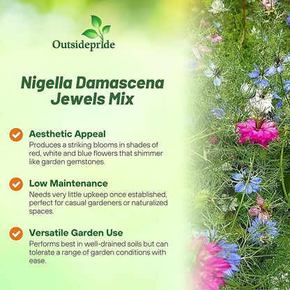 Outsidepride Jewels Mix Nigella Seeds - 1000 Pcs Annual Flower Seeds for Planting with Vibrant Blooms & Lacy, Fern-Like Foliage, Attractive Cut Flower for Small Garden Spaces & Floral Arrangements
