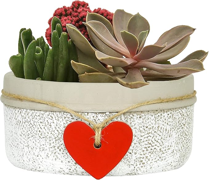 Classic Home and Garden 280000P-396 Heart Bowl Planter, Whitewash