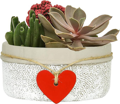 Classic Home and Garden 280000P-396 Heart Bowl Planter, Whitewash