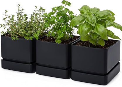 D'vine Dev 6 Inch Herb Planter Pot, Plastic Planter with Drainage Holes and Saucer, Modern Decorative Gardening Pot for Indoor Plants, Flowers, Herbs, Succulents, Black, Set of 3, 76-Y-B3-2