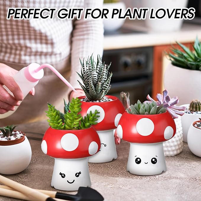 Leinuosen 3 Pack Mushroom Planter Cute Small Succulent Plant Pot for Indoor Plants with Drainage Mushroom Kitchen Decor Funny Mini Smiling Face Cactus Flower Pot for Living Room Table Accessories