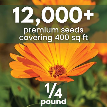 Calendula Pacific Beauty - Bulk 1/4 Pound Pouch - 12,000 Flower Seeds for Planting - Calendula officinalis