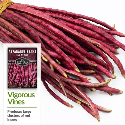 Survival Garden Seeds - Red Noodle Asparagus Bean Seed for Planting - 3 Packs with Instructions to Plant and Extremely Long Stringless Beans in Your Home Vegetable Garden - Non-GMO Heirloom Variety