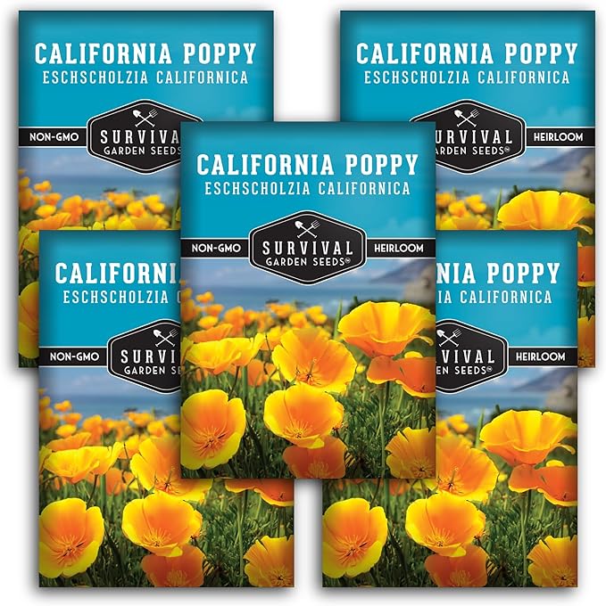 Survival Garden Seeds - California Poppy Seeds for Planting - 5 Packets with Instructions to Grow Eschscholzia Californica Plants in Your Home Flower Garden - Non-GMO Heirloom Wildflower Variety