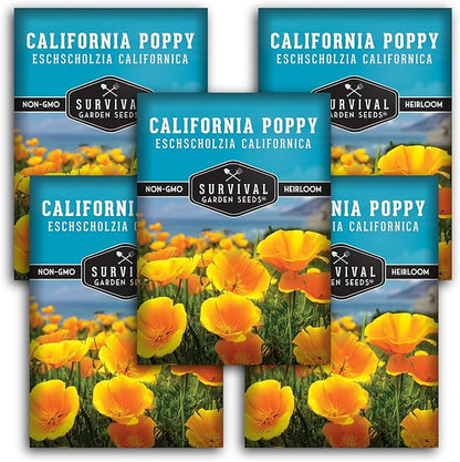 Survival Garden Seeds - California Poppy Seeds for Planting - 5 Packets with Instructions to Grow Eschscholzia Californica Plants in Your Home Flower Garden - Non-GMO Heirloom Wildflower Variety