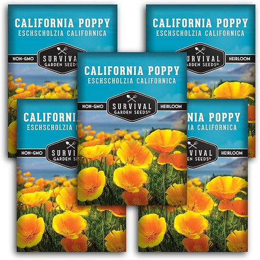 Survival Garden Seeds - California Poppy Seeds for Planting - 5 Packets with Instructions to Grow Eschscholzia Californica Plants in Your Home Flower Garden - Non-GMO Heirloom Wildflower Variety