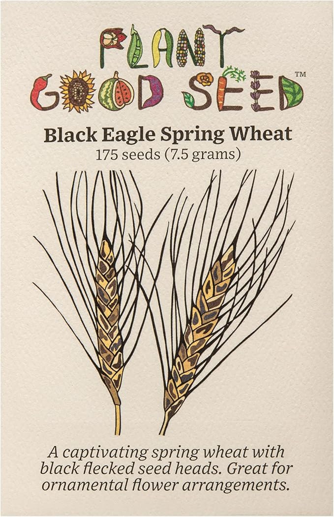 Plant Good Seed Organic Black Eagle Spring Wheat Seed - Pack of 175, Heirloom Seeds for Planting Grains, Vegetables - Gardening Supplies, Vegetable Garden - Non-GMO, Open Pollinated, from USA