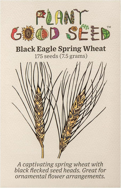 Plant Good Seed Organic Black Eagle Spring Wheat Seed - Pack of 175, Heirloom Seeds for Planting Grains, Vegetables - Gardening Supplies, Vegetable Garden - Non-GMO, Open Pollinated, from USA