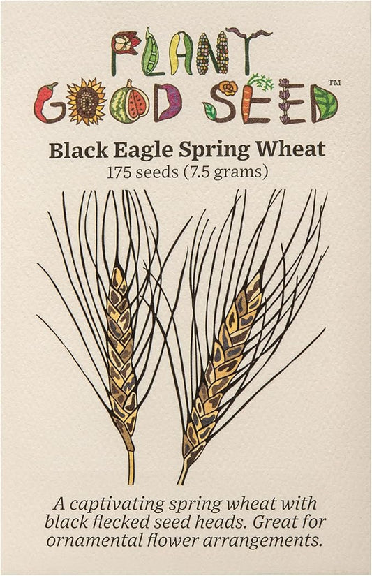 Plant Good Seed Organic Black Eagle Spring Wheat Seed - Pack of 175, Heirloom Seeds for Planting Grains, Vegetables - Gardening Supplies, Vegetable Garden - Non-GMO, Open Pollinated, from USA